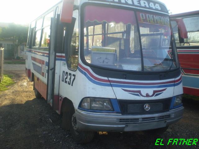 ¿ Mercedes-Benz ? - El Father - Linea 44 , C.M.R.A.
http://galeria.bus-america.com/displayimage.php?pos=-15559
Fuente: Clasipar
Palabras clave: MB