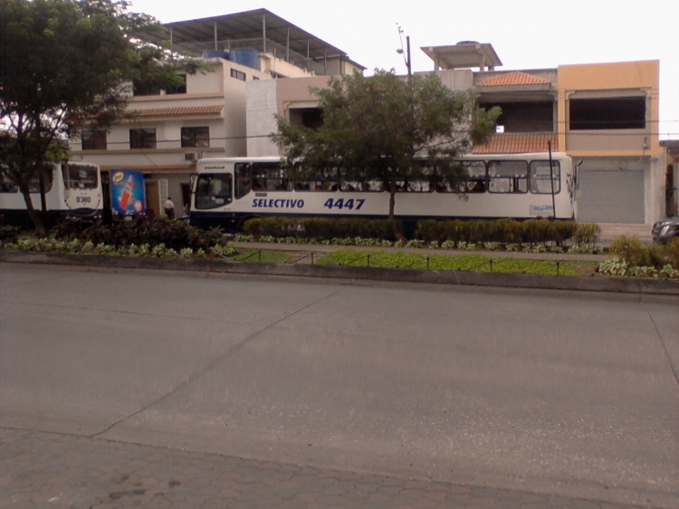 IBIMCO - Brasilera
Bus urbano de la ciudad de Guayaquil
