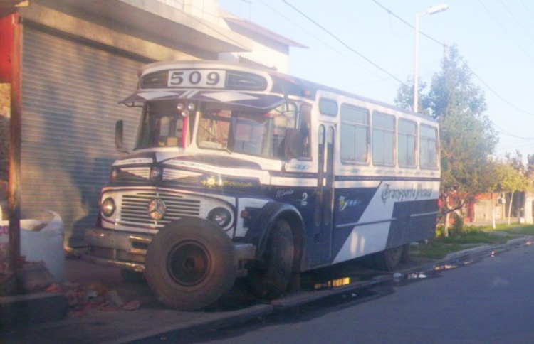 MERCEDES BENZ 1114
C 953308 - UPN 483
http://galeria.bus-america.com/displayimage.php?pid=22978
http://galeria.bus-america.com/displayimage.php?pid=42251
Palabras clave: urbano