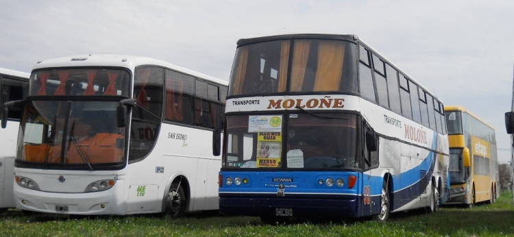 TRANS. MOLOÑE
