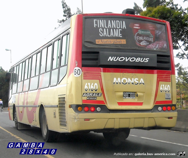 Agrale MT 15.0 LE - Nuovobus - M.O.N.S.A.
MRB 468 
Línea 60 - Interno 6160

Colección: Gamba 28x40
Palabras clave: Gamba / 60