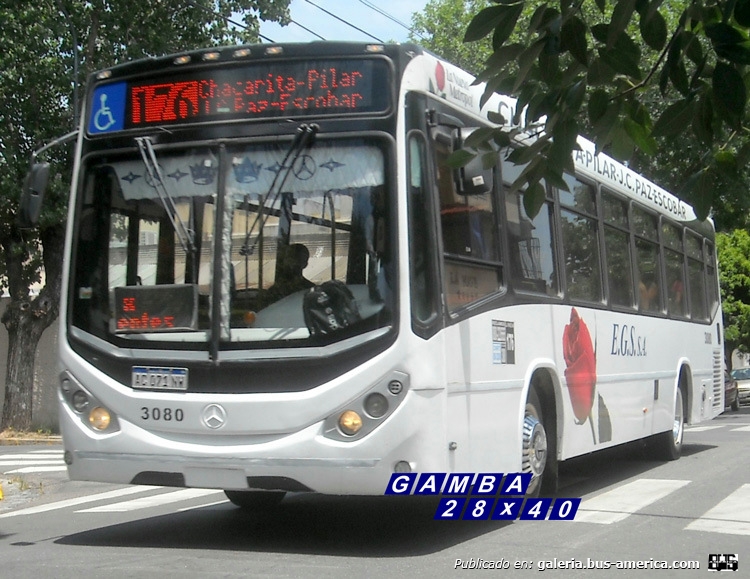 Mercedes-Benz O-500 U - Metalpar Iguazú Nueva Generación - Expreso General Sarmiento S.A.
AC 071 NW 
Línea 176 (Buenos Aires) - Interno 3080

Fotografía: Gamba 28x40
Palabras clave: Gamba / 176