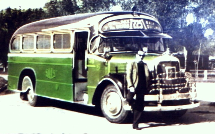 Mercedes-Benz L 312 - La Favorita - S.A.E.S.
Línea 225 - Interno 70

Foto: Gentileza Sr Blanco [Gestión Pedro C Teisa]
Archivo: Osvaldo Abner
Palabras clave: Gamba / 225