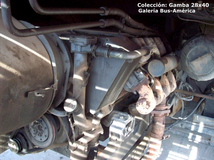 Motor Deutz V8 280
Vista del motor que impulsaba los chasis A y L Decaroli

Colección: Gamba 28x40
Palabras clave: Gamba / V8