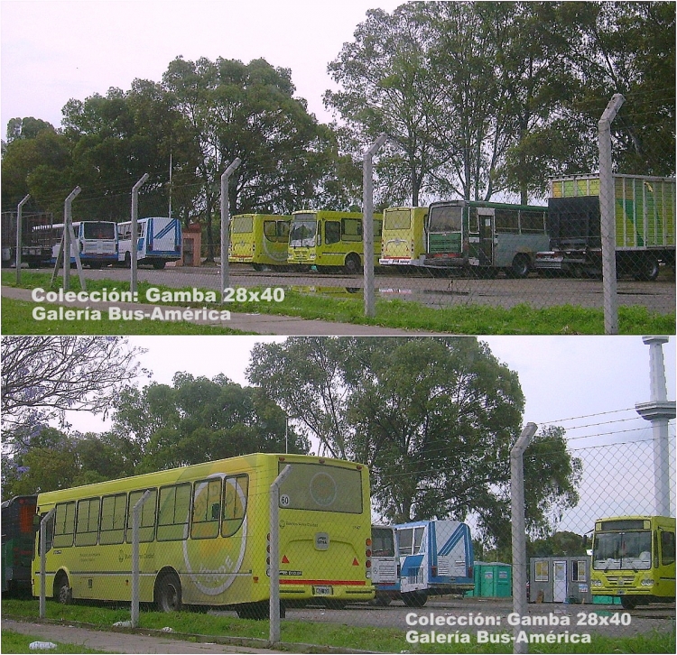 T.A.T.S.A. - Puma D 10.5 F - G.C.B.A.
Unidades afectadas al transporte de cartoneros
Se aprecian varios T.A.T.S.A. modelo 2013, y entre 
ellos, dos Mercedes-Benz OH 1320, un Alcar ex 
línea 37 y un Splendid, también un OH 1621 L
La Favorita

Colección: Gamba 28x40
Palabras clave: Gamba / GCBA