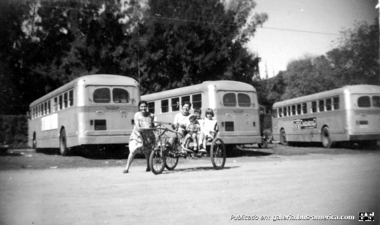 Leyland Olympic - M.C.W. (en Argentina)
Tres Leyland Olympic haciendo turismo
Se encuentran en la ciudad de Luján

Fotografía: María Rosa
Publicada en el grupo de Facebook "Fotos Antiguas de Familiares"
Palabras clave: Gamba / Leyland