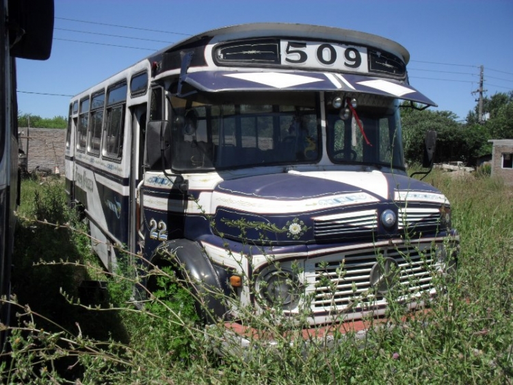 Mercedes-Benz LO 1114 - C.E.A.P. - Transporte Pinazo
C 953308 - UPN 483
http://galeria.bus-america.com/displayimage.php?pid=15626
http://galeria.bus-america.com/displayimage.php?pid=42251

Linea 509 - Interno 22
Unidad propiedad fetiche del dueño de la empresa
Fue Linea 46 de CABA, Linea 507 de Derqui, Linea 509 de Derqui (Int.2), y ahora, con 23 años en el lomo, es el "muleto" como 22. 
Palabras clave: Ceap