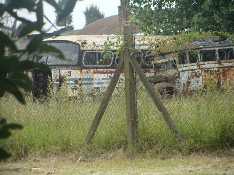 Chevrolet (G.M.C.) 1946 - Cardinali y Capiatti
Incognita
Los fondos de Ecotrans, en Merlo. Se ven 4 o 5 unidades viejas, entre ellas estos dos. Yo no reconozco nada, se lo dejo a ustedes.

[Datos de derecha a izquierda]
