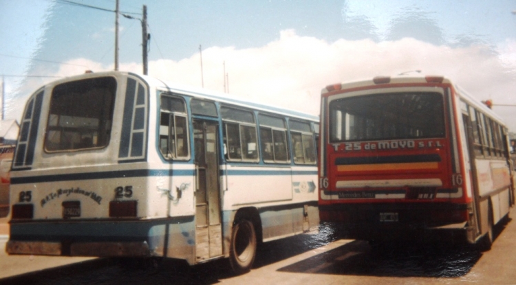Mercedes-Benz LO 1114 - El Indio - M.O.L.M.
B 2150229
Línea 596 - Interno 25
Imagen habitual del Puerto de Mar del Plata a finales de la década 
del ´90. Un MOLM al lado de un "25 de Mayo". Todavía en "La Marplatense" 
circulaban varios LO1114. Este era uno de ellos. Enero de 1998
