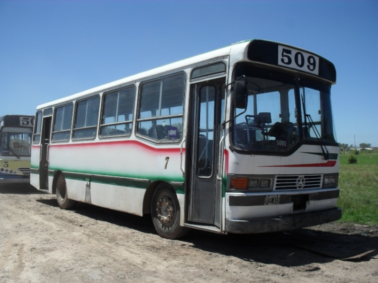 Mercedes-Benz OF 1214 -Transporte Pinazo
B 2383733 - XEH 419

Línea 509 (Pdo.Pilar) - Interno 7
Éx EPELSA, línea 341 - Interno 167, andando casi igual en la 509 de Derqui.
Palabras clave: DERQUI