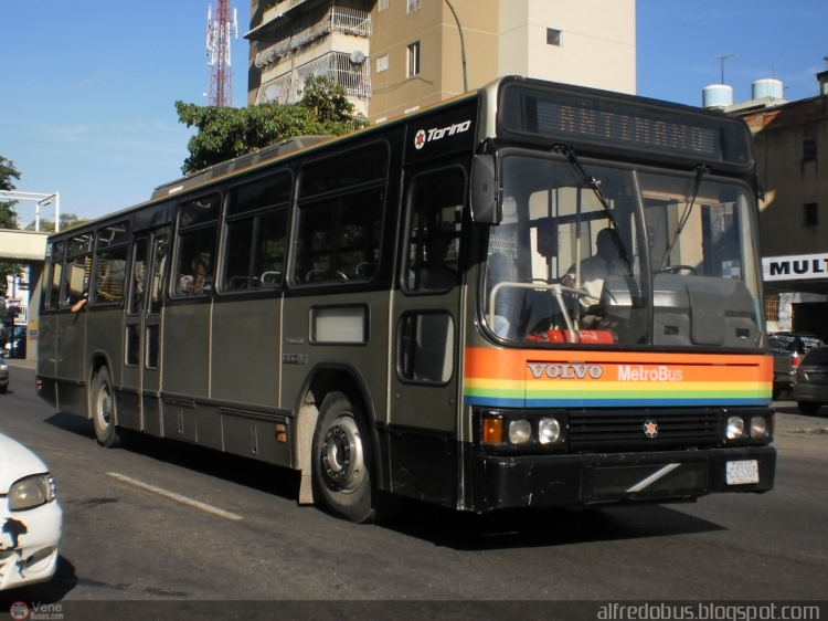 Volvo B10M - Marcopolo Torino LN (en Venezuela) - MetroBus Caracas 992
C-03007.
Mi unidad de MetroBus favorita (la que inspira mi nick), aparte de "Hijo Único" en la flota. Fue el primer bus brasilero de MetroBus, parte de un intento de Marcopolo de lograr una licitación para proveer de unidades suburbanas en 1993, el cuál no tuvo éxito. Tendrían que pasar 14 años para que otro carrocero brasilero lograra una licitación para renovar la flota. El rutero digital fue recientemente adaptado.
Palabras clave: Marcopolo Volvo MetroBus