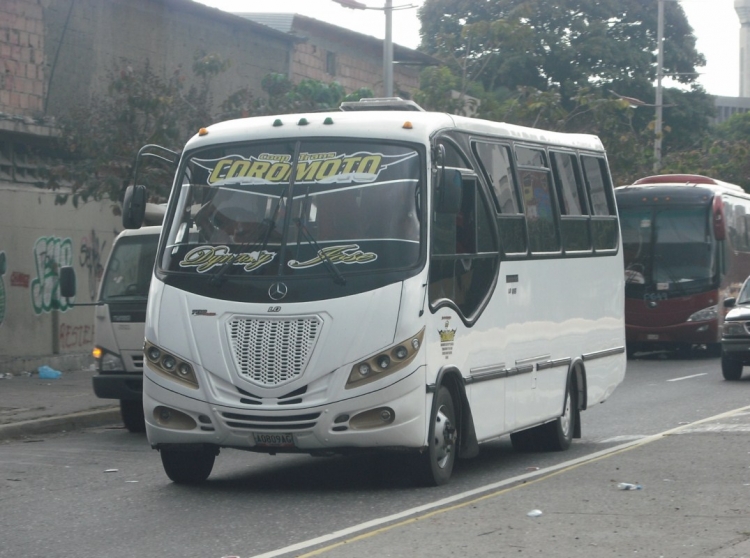 Mercedes-Benz LO-915 - Servibus de Venezuela Onix - Coop. de Transporte Coromoto 060
A0809AG
Escudería Dynasty José. Uno de los modelos más recientes de Servibus (Venezuela)
Palabras clave: Servibus Mercedes-Benz