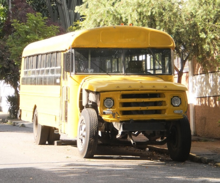 Dodge D600 - Carpenter Classic (En Venezuela) - Transporte Escolar
Opero por un tiempo para el Colegio San Marcos, pero no lo he vuelto a ver
Palabras clave: Carpenter Dodge