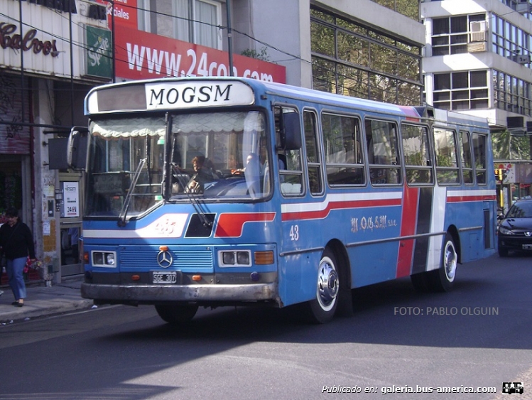 Mercedes-Benz OHL 1320 - La Favorita - M.O.G.S.M.
SGE 307
Línea 670 - Interno 43

Fotografía: Pablo Olguín
