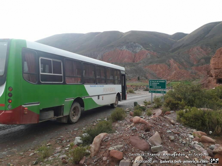 Mercedes-Benz OF 1418 - Metalpar Tronador - Armagedon
GJX 206
[url=https://bus-america.com/galeria/displayimage.php?pid=60150]https://bus-america.com/galeria/displayimage.php?pid=60150[/url]
[url=https://bus-america.com/galeria/displayimage.php?pid=60150]https://bus-america.com/galeria/displayimage.php?pid=60150[/url]
[url=https://bus-america.com/galeria/displayimage.php?pid=60151]https://bus-america.com/galeria/displayimage.php?pid=60151[/url]
[url=https://bus-america.com/galeria/displayimage.php?pid=60152]https://bus-america.com/galeria/displayimage.php?pid=60152[/url]

Línea 59 (Prov. Jujuy)


Fotografía y gentileza: Transporte Armagedón


Fotografía y gentileza: Transporte Armagedón
