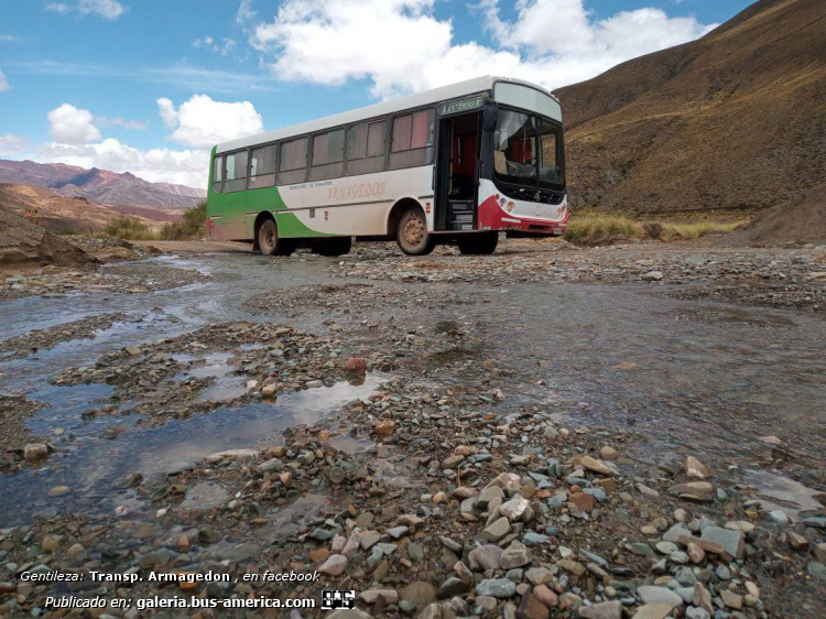 Mercedes-Benz OF 1418 - Metalpar Tronador - Armagedon
GJX 206
[url=https://bus-america.com/galeria/displayimage.php?pid=60149]https://bus-america.com/galeria/displayimage.php?pid=60149[/url]
[url=https://bus-america.com/galeria/displayimage.php?pid=60150]https://bus-america.com/galeria/displayimage.php?pid=60150[/url]
[url=https://bus-america.com/galeria/displayimage.php?pid=60150]https://bus-america.com/galeria/displayimage.php?pid=60150[/url]
[url=https://bus-america.com/galeria/displayimage.php?pid=60151]https://bus-america.com/galeria/displayimage.php?pid=60151[/url]

Línea 59 (Prov. Jujuy)


Fotografía y gentileza: Transporte Armagedón

Fotografía y gentileza: Transporte Armagedón

