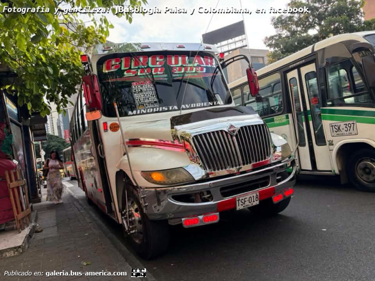 International 3300 CE - Inconcar Elipse - Santra
TSF-018
[url=https://bus-america.com/galeria/displayimage.php?pid=24143]https://bus-america.com/galeria/displayimage.php?pid=24143[/url]
[url=https://bus-america.com/galeria/displayimage.php?pid=71047]https://bus-america.com/galeria/displayimage.php?pid=71047[/url]

Ruta 303 (Medellín), movil 436


Fotografia y gentileza: [url=https://www.facebook.com/photo.php?fbid=1394372769348332&set=p.1394372769348332&type=3]Busología Paisa y Colombiana, en facebook.com[/url]

