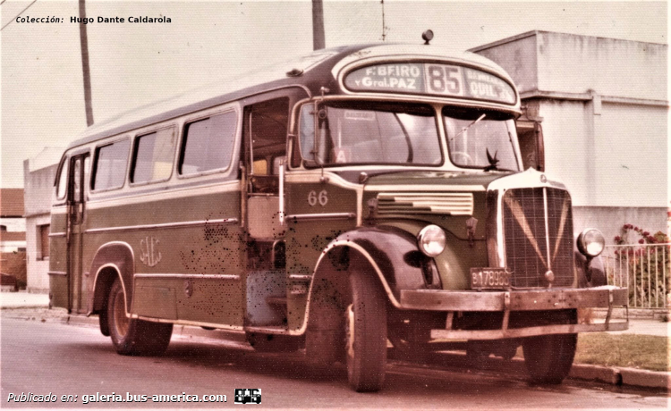 Mercedes-Benz LO 911 - Ottaviano - SAES
B.178988

Línea 85 (Buenos Aires), interno 66

Fotografía: Dante Atilio Caldarola o Luis Garcia
Fotografía colección: [url=https://www.facebook.com/photo?fbid=28535901989375633&set=gm.1741632486888305&idorvanity=460091248375775]Hugo Dante Caldarola[/url]
Extraído de: DIARIO SAES LINEA 85, en facebook.com
