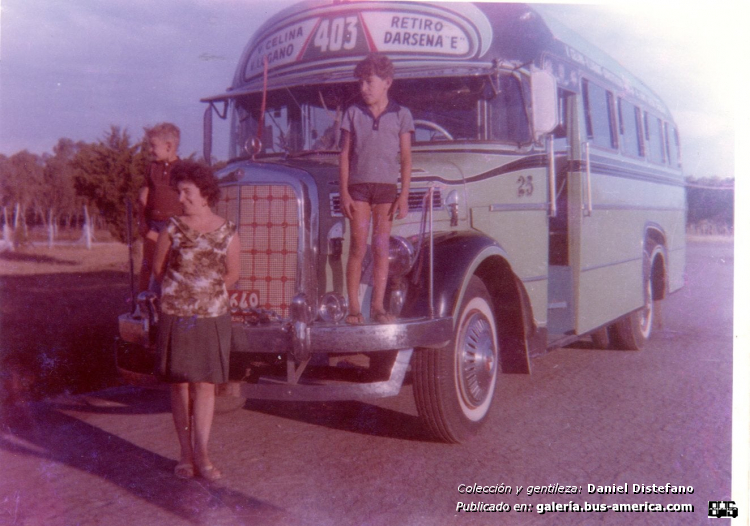 Mercedes-Benz L 312 - La Unión - Coop. Cdad. Buenos Aires
¿---649?
[url=https://bus-america.com/galeria/displayimage.php?pid=51008]https://bus-america.com/galeria/displayimage.php?pid=51008[/url]

Línea 403 (Buenos Aires), interno 23

Fotografía: familia Distefano
Colección y gentileza: Daniel Distefano
