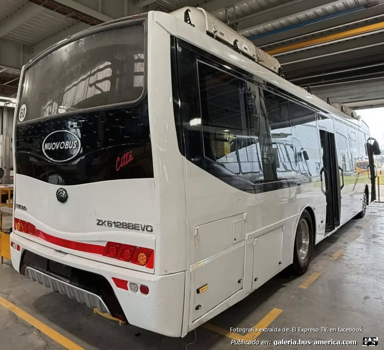 Yutong ZK6128BEVG - Nuovobus Cittá
[url=https://bus-america.com/galeria/displayimage.php?pid=70757]https://bus-america.com/galeria/displayimage.php?pid=70757[/url]

Fotografía extraída de: [url=https://www.facebook.com/plugins/post.php?href=https%3A%2F%2Fwww.facebook.com%2FELEXPRESOTV%2Fposts%2Fpfbid027Gc9uZMd3o888SYEHhcJFWFRc9KTw6FDQ6YPJoJdbuTDmhuG8eL7To8shJUP5EsZl]El Expreso TV, en facebook[/url]


Primer chasis Yutong carrozado en Argentina por Nuovobus
