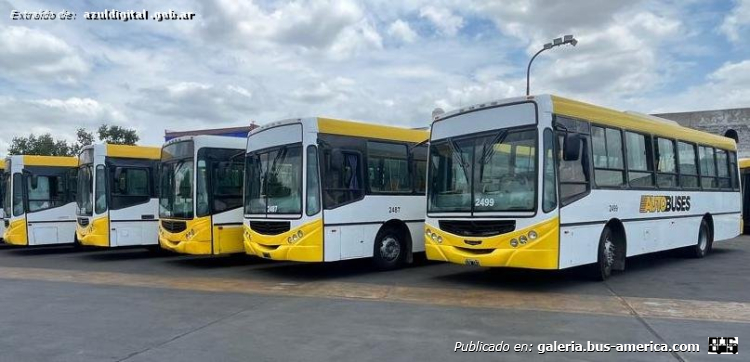 Metalpar Tronador 2010 - Autobuses
Línea 501 & 502 (Pdo.Azul), interno 2499

Fotografía extraída de: [url=https://azuldigital.gob.ar/llegan-los-nuevos-colectivos-a-azul/]Municipio de Azul[/url]

