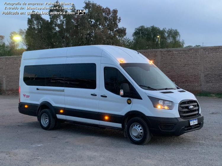 Ford Transit (en Argentina) - Blanca Paloma
AF 354 CV

Blanca Paloma, interno 10

Fotografía extraída de: [url=https://blancapalomasrl.com.ar]Blanca Paloma[/url]

