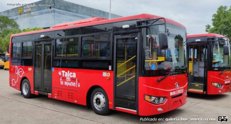 Shang Bus SR6820GB (en Chile) - Municipalidad de Talca
Municipalidad de Talca (Talca)

Fotografía extraída de. [url=https://www.atentos.cl/talca-en-la-senda-ecologica-planta-de-compostaje-y-buses-electricos/]atentos.cl[/url]
