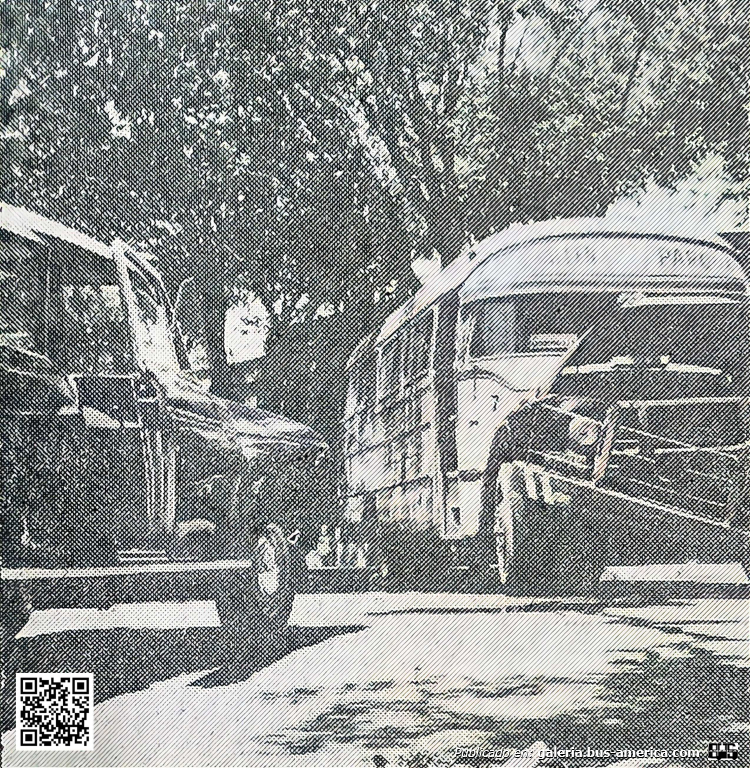 Bedford J6LZ1 - Velox 
Línea 17 (Mendoza), interno 7

Fotógrafo: desconocido
Publicación: indeterminada de momento
Colección y extraído de: [url=https://mendozantigua.blogspot.com/2025/07/en-la-interseccion-de-calles-paso-de.html]Mendoza Antigua[/url]

"En la intersección de calles Paso de los Andes y Agustín Alvarez, ciudad de Mendoza se produjo una espectacular colisión entre un ómnibus de la Línea 17 y una camioneta. (Noviembre 1969) 
Pese a las características del accidente no hubo heridos. Los daños en los vehículos fueron importantes."
