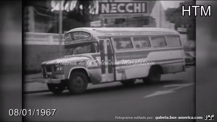 Dodge D 400 - Velox - La Marplatense
[url=https://bus-america.com/galeria/displayimage.php?pid=58556]https://bus-america.com/galeria/displayimage.php?pid=58556[/url]

Línea ¿8? ¿9? ¿10? (Mar del Plata), interno 10

Camarógrafo: desconocido de momento
Filmación: Canal 10 de Mar del Plata
Fotografama extraído de: Historia de la Televisión Marplatense, en facebook
[url=https://www.youtube.com/watch?v=d5B02FP7VkI]https://www.youtube.com/watch?v=d5B02FP7VkI[/url]
[url=https://www.youtube.com/watch?v=d-s4JPlYGyQ]https://www.youtube.com/watch?v=d-s4JPlYGyQ[/url]
