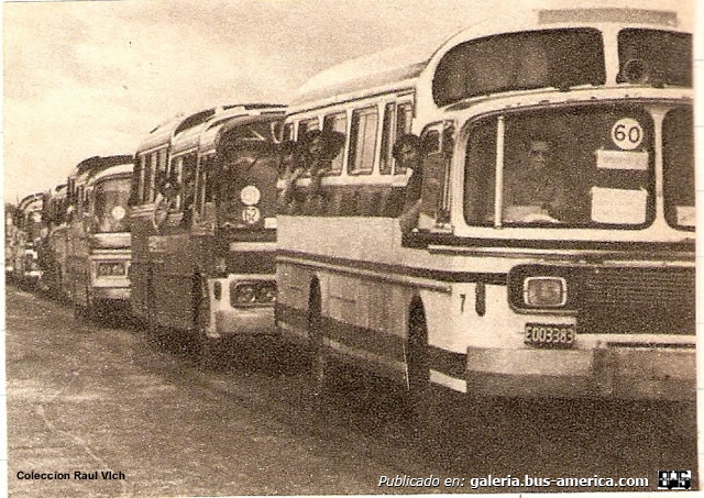 ACLO Regal VI - El Halcón - ex Exp.Azúl del Río Uruguay
E.003383

Fotógrafo: desconocido
Para diario o períodico no determinado
Colección: Raúl Vich
Extraído y publicado por primera vez en: solobus.com.ar


Se puede conocer la historia de esta empresa en nuestra sección Revista Bus Améruca: [url=https://revista.bus-america.com/Notas/ExpAzul/ExpAzul.php]Expreso Azul, una parte de historia[/url]
