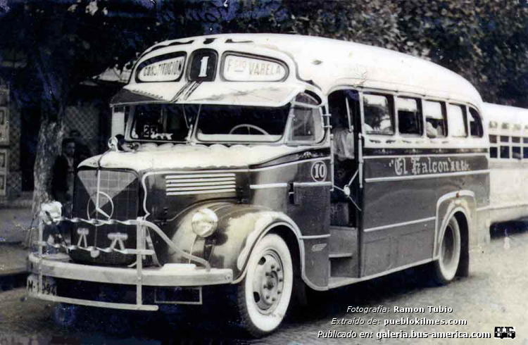 Mercedes-Benz L 312 - FAC - El Halcón
Línea 1 (Prov. Buenos Aires), interno 10

Fotografía: Ramón Tubio
