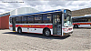 MBOF-ItalbusBello-cr10i32_wRTN.jpg