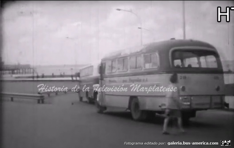 Bedford J6LZ1 - Serra - Omnibus Gral. Pueyrredón
[url=https://bus-america.com/galeria/displayimage.php?pid=58569]https://bus-america.com/galeria/displayimage.php?pid=58569[/url]
[url=https://bus-america.com/galeria/displayimage.php?pid=58570]https://bus-america.com/galeria/displayimage.php?pid=58570[/url]

Línea 25 (Mar del Plata), interno 19

Camarógrafo: desconocido de momento
Filmación: Canal 10 de Mar del Plata
Fotografama extraído de: Historia de la Televisión Marplatense, en facebook
[url=https://www.youtube.com/watch?v=d5B02FP7VkI]https://www.youtube.com/watch?v=d5B02FP7VkI[/url]
[url=https://www.youtube.com/watch?v=d-s4JPlYGyQ]https://www.youtube.com/watch?v=d-s4JPlYGyQ[/url]
