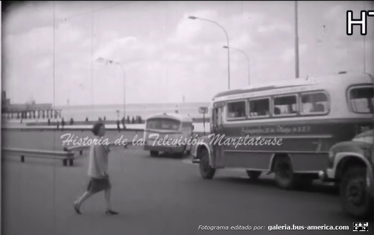 Bedford J6LZ1 - Serra - 25 de Mayo
Línea 16 (Mar del Plata)

Camarógrafo: desconocido de momento
Filmación: Canal 10 de Mar del Plata
Fotografama extraído de: Historia de la Televisión Marplatense, en facebook
[url=https://www.youtube.com/watch?v=d5B02FP7VkI]https://www.youtube.com/watch?v=d5B02FP7VkI[/url]
[url=https://www.youtube.com/watch?v=d-s4JPlYGyQ]https://www.youtube.com/watch?v=d-s4JPlYGyQ[/url]
