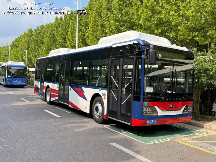Yutong K6128HG (para Argentina) - La Vecinal de Matanza
Línea 180 (Buenos Aires)


Fotografía: Colgas
Extraído de: [url=https://www.facebook.com/plugins/post.php?href=https%3A%2F%2Fwww.facebook.com%2FELEXPRESOTV%2Fposts%2Fpfbid0utDJenqMMgVP1Gwrh99epfBQFxZpRYBDNP1jgiHyjR13i93fwrmoLSyB5frH417al]El Expreso TV, en facebook[/url]
