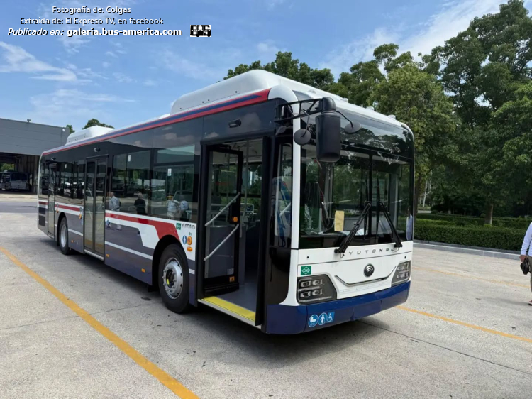 Yutong K6128HG (para Argentina) - J.B.Justo
Línea 34 (Buenos Aires)


Fotografía: Colgas
Extraído de: [url=https://www.facebook.com/plugins/post.php?href=https%3A%2F%2Fwww.facebook.com%2FELEXPRESOTV%2Fposts%2Fpfbid0utDJenqMMgVP1Gwrh99epfBQFxZpRYBDNP1jgiHyjR13i93fwrmoLSyB5frH417al]El Expreso TV, en facebook[/url]
