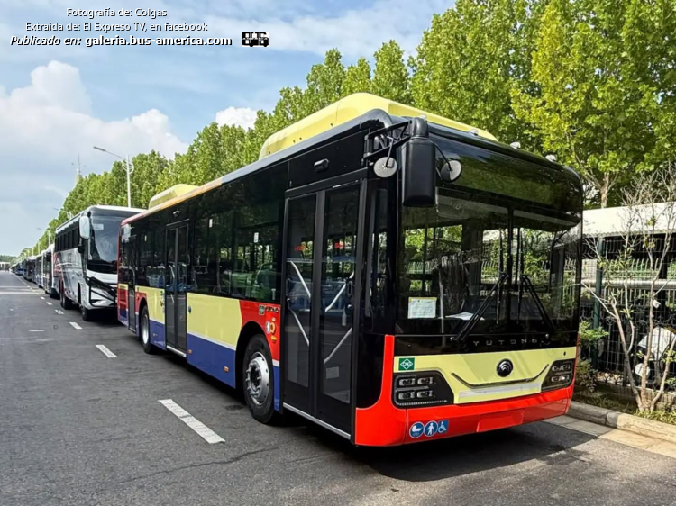 Yutong K6128HG (para Argentina) - Colegiales
Línea 42 (Buenos Aires)


Fotografía: Colgas
Extraído de: [url=https://www.facebook.com/plugins/post.php?href=https%3A%2F%2Fwww.facebook.com%2FELEXPRESOTV%2Fposts%2Fpfbid0utDJenqMMgVP1Gwrh99epfBQFxZpRYBDNP1jgiHyjR13i93fwrmoLSyB5frH417al]El Expreso TV, en facebook[/url]
