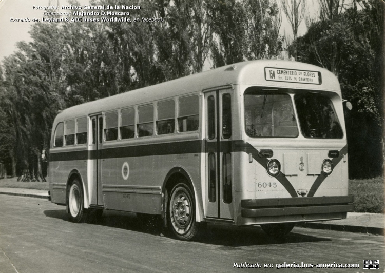 Leyland Olympic EL40 - MCW (en Argentina) - Transportes de Buenos Aires
[url=https://bus-america.com/galeria/displayimage.php?pid=27276]https://bus-america.com/galeria/displayimage.php?pid=27276[/url]

Línea 154 (Buenos Aires), interno 6045

Fotografía: Archivo General de la Nación
Colección: Alejandro D.Moscaro
Extraído de: [url=https://www.facebook.com/photo/?fbid=10224724372152734&set=g.1059093234530708]Leyland & AEC buses Worldwide, en facebook[/url]
