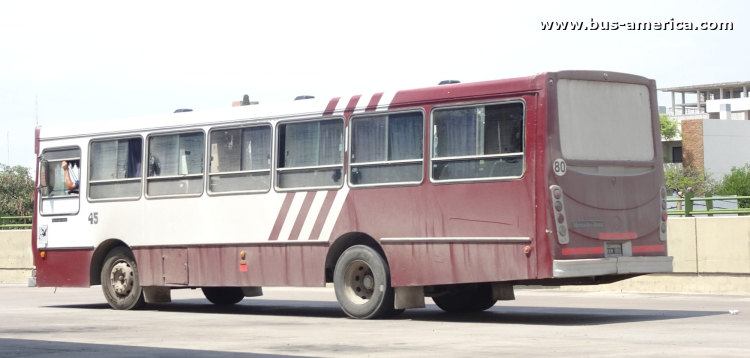 Mercedes-Benz OF 1418 - La Favorita - Transfermar
KKM 009
[url=https://bus-america.com/galeria/displayimage.php?pid=68568]https://bus-america.com/galeria/displayimage.php?pid=68568[/url]
[url=https://bus-america.com/galeria/displayimage.php?pid=68569]https://bus-america.com/galeria/displayimage.php?pid=68569[/url]
[url=https://bus-america.com/galeria/displayimage.php?pid=68570]https://bus-america.com/galeria/displayimage.php?pid=68570[/url]
[url=https://bus-america.com/galeria/displayimage.php?pid=68572]https://bus-america.com/galeria/displayimage.php?pid=68572[/url]

Transfermar (Prov.Sgo. del Estero), interno 45
