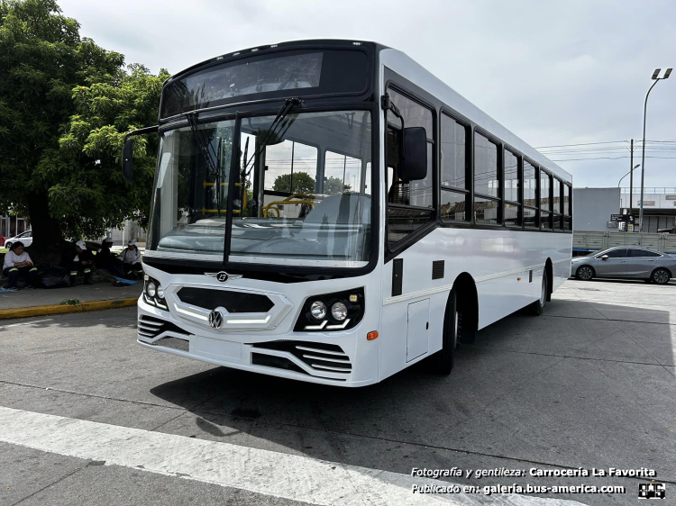 Volkswagen 15.190 OD - La Favorita Favorito GR
[url=https://bus-america.com/galeria/displayimage.php?pid=67705]https://bus-america.com/galeria/displayimage.php?pid=67705[/url]
[url=https://bus-america.com/galeria/displayimage.php?pid=67707]https://bus-america.com/galeria/displayimage.php?pid=67707[/url]
[url=https://bus-america.com/galeria/displayimage.php?pid=67708]https://bus-america.com/galeria/displayimage.php?pid=67708[/url]
[url=https://bus-america.com/galeria/displayimage.php?pid=67709]https://bus-america.com/galeria/displayimage.php?pid=67709[/url]

Fotografía y gentileza: [url=https://www.facebook.com/share/p/1ApKHjNJVf/]Carrocerías La Favorita, en facebook[/url]
