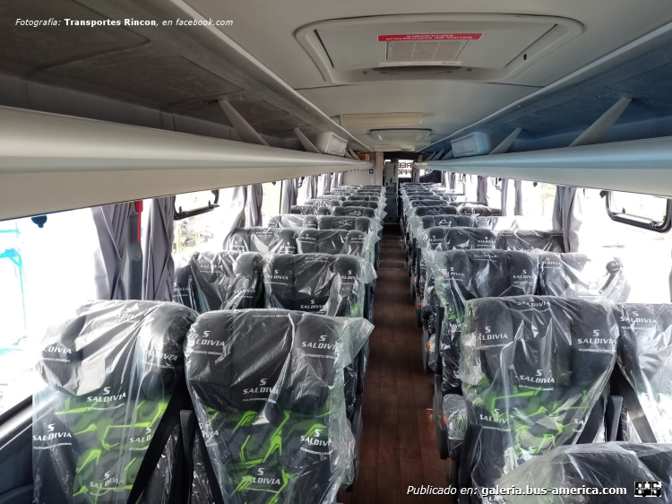 Scania  K GNC - Saldivia Aries 365/1200 - Rincon
[url=https://bus-america.com/galeria/displayimage.php?pid=67994]https://bus-america.com/galeria/displayimage.php?pid=67994[/url]
[url=https://bus-america.com/galeria/displayimage.php?pid=67995]https://bus-america.com/galeria/displayimage.php?pid=67995[/url]
[url=https://bus-america.com/galeria/displayimage.php?pid=67996]https://bus-america.com/galeria/displayimage.php?pid=67996[/url]
[url=https://bus-america.com/galeria/displayimage.php?pid=67997]https://bus-america.com/galeria/displayimage.php?pid=67997[/url]

Rincón (Pro.Neuquén), interno 95

Fotografía: [url=https://www.facebook.com/transportesrinconoficial]Transportes Rincón, en facebook[/url]

(Vista interior de la unidad)
