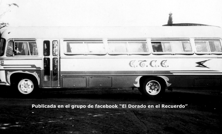 Mercedes-Benz - E.T.C.E.
El Dorado 
036
Interno 12

Fotografía extraída del grupo de facebook "El Dorado en el Recuerdo"

http://galeria.bus-america.com/displayimage.php?pid=33188
