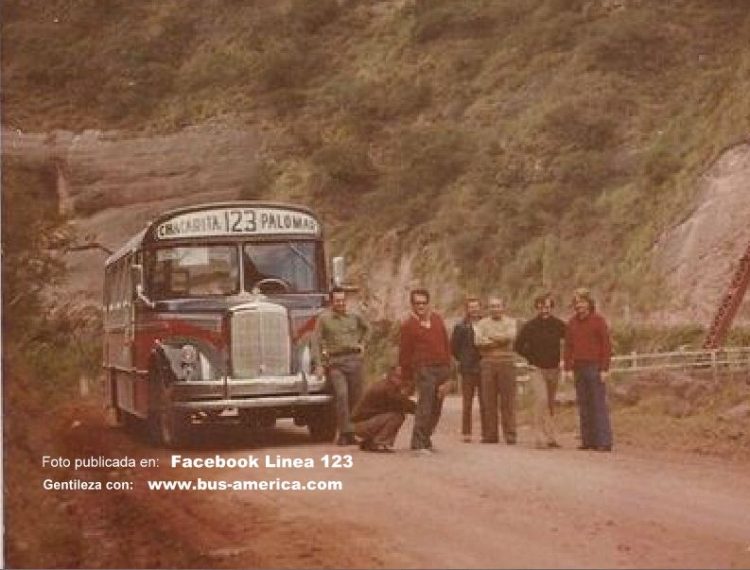 Mercedes-Benz 911 - ALA - Linea 123
Fotografía gentileza de la Linea 123, tomada de su sitio en Facebook
Palabras clave: Tom / 123