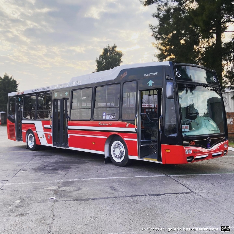 Mercedes-Benz OH 1721 L SB - Nuovobus Citta - Cardenas
[url=https://bus-america.com/galeria/displayimage.php?pid=48754]https://bus-america.com/galeria/displayimage.php?pid=48754[/url]
[url=https://bus-america.com/galeria/displayimage.php?pid=48755]https://bus-america.com/galeria/displayimage.php?pid=48755[/url]
[url=https://bus-america.com/galeria/displayimage.php?pid=48757]https://bus-america.com/galeria/displayimage.php?pid=48757[/url]

Línea 126 (Buenos Aires), interno 22


Fotógrafo: ¿?
Fotografía: Cardenas S.A. (Línea 126 en facebook.com)
