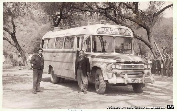 Dodge (Fevre y Basset) - D. Vila
Ciudad de Salta
1.591

Fotografía: Autor desconocido
Imagen publicada en la comunidad de facebook, por Jorge Erbes
