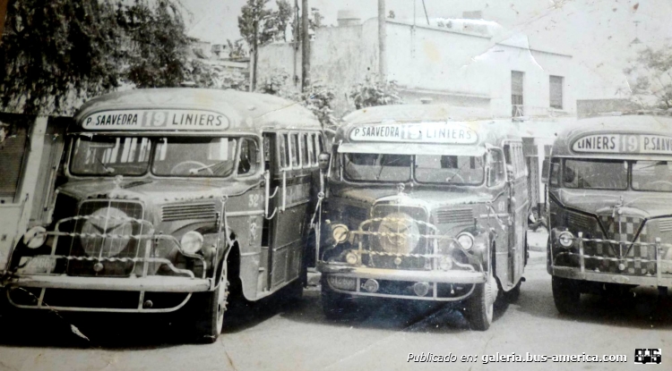 Mercedes-Benz L 312 - El Indio - General San Martín
Línea 19 (Luego 221 y finalmente 161) - Interno 32
(Datos de izquierda a derecha)

Fotografía: Autor desconocido
Publicada en el grupo de facebook "Viejos bondis olvidados,abandonados y restaurados"
