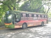 z0-Metrobus_504_(5).jpg