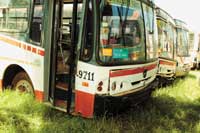Caio alpha(En Paraguay) Automotores Guarani Linea 15
Omnibus embargados del BNF
