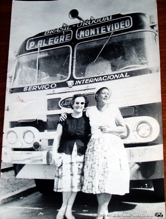 Elizario
Foto de autor desconocido, publicada para su venta en Mercado Libre
