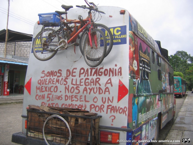 Mercedes-Benz LO 1114 - Particular
B 1886387 - VLF 141

http://galeria.bus-america.com/displayimage.php?pid=38587
